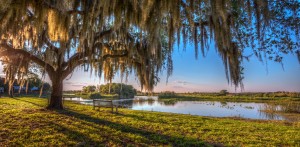 FLORIDA LAKE